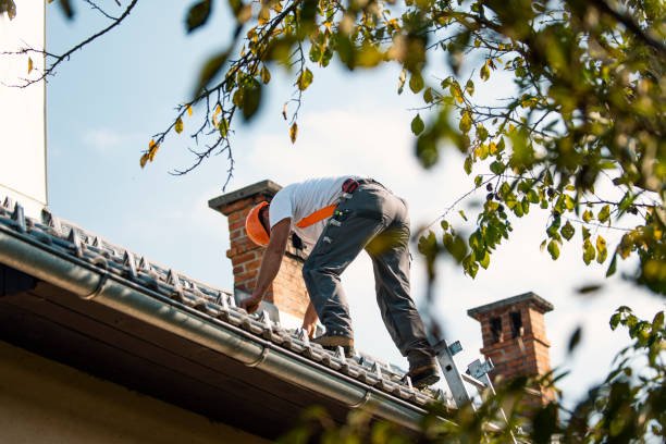 Best Flat Roof Repair Services  in Rensselaer, IN