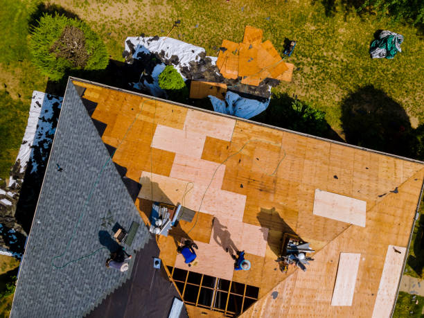 Best Local Roofing Companies  in Rensselaer, IN
