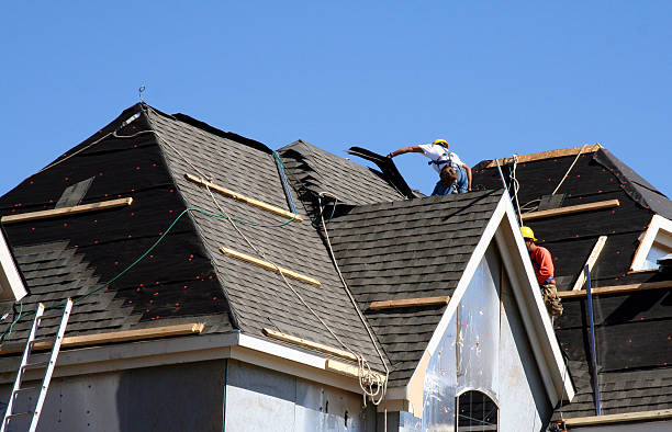 Best Metal Roofing Contractor  in Rensselaer, IN